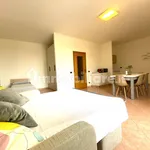 Rent 2 bedroom apartment of 50 m² in Turin