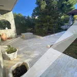 Rent 3 bedroom apartment of 150 m² in Πεντέλη