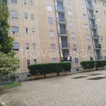 Rent 3 bedroom apartment of 80 m² in Torino