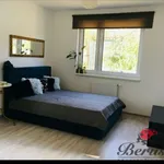 Rent 1 bedroom apartment of 35 m² in Prague