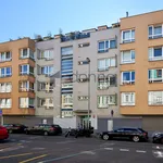 Rent 1 bedroom apartment in Capital City of Prague