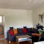 Rent 2 bedroom apartment in Zurich