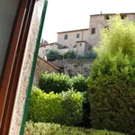 Rent 9 bedroom apartment of 150 m² in Cetona