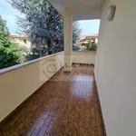 Rent a room of 100 m² in Legnaro