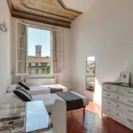 Rent 2 bedroom apartment of 75 m² in Florence