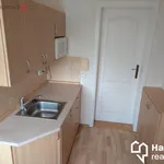 Rent 2 bedroom apartment of 28 m² in Olomouc