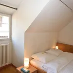 Rent 2 bedroom apartment of 36 m² in Zürich