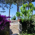 Rent 3 bedroom apartment of 50 m² in Trevignano Romano