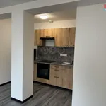 Pronajměte si 1 ložnic/e byt o rozloze 35 m² v Hradec Králové