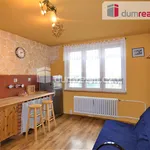 Rent 1 bedroom apartment in Sokolov