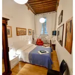 Rent 5 bedroom apartment of 130 m² in Lucca