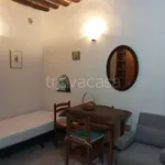 Rent 1 bedroom apartment of 19 m² in Siena