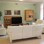 Rent 4 bedroom apartment in Pardubice