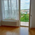 Rent 6 bedroom apartment in Praha 6