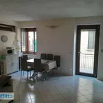 Appartamento arredato con terrazzo Centro