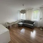 Rent 1 bedroom apartment in warsaw