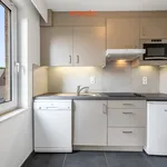 Rent 1 bedroom apartment in Leuven