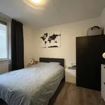 Rent 2 bedroom apartment of 54 m² in 6811LA Arnhem