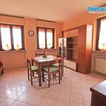 Rent 1 bedroom apartment of 30 m² in Novara