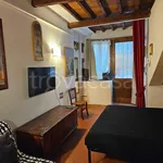 Rent 1 bedroom apartment of 35 m² in Firenze