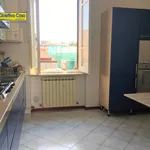 Rent 4 bedroom apartment of 120 m² in Teramo