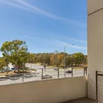 Rent 1 bedroom apartment in belconnen