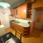 Rent 2 bedroom apartment of 35 m² in Brno-sever