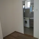 Rent 1 bedroom apartment in Ostrava