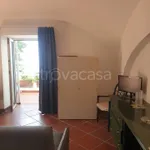 Rent 2 bedroom apartment of 40 m² in Capri