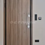 Rent 1 bedroom apartment of 55 m² in Δροσιά