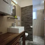 Rent 1 bedroom apartment of 69 m² in Prague