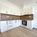 Rent 3 bedroom apartment in Hodonín