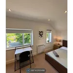 Rent 5 bedroom house in Brighton