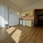 Rent 1 bedroom apartment of 20 m² in Capital City of Prague