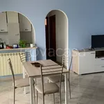 Rent 3 bedroom apartment of 80 m² in Anzio