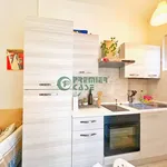 Rent 2 bedroom apartment of 55 m² in Torino