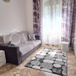 Rent 1 bedroom apartment of 40 m² in Milano