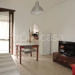 Rent 2 bedroom apartment of 50 m² in Torino