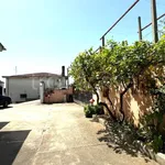 Rent 3 bedroom house of 65 m² in Velletri