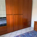 Rent 1 bedroom apartment of 60 m² in Segrate MI