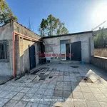 Rent 3 bedroom house of 70 m² in Misilmeri