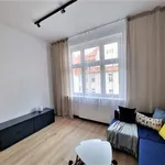 Rent 1 bedroom apartment of 27 m² in Poznan