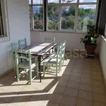 Rent 2 bedroom apartment of 50 m² in Lamezia Terme