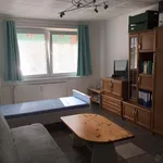 Rent 1 bedroom apartment in Chomutov