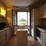 Rent 4 bedroom house of 70 m² in Firenze