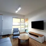 Mieszkanie w apartamentowcu wysoki standard 56,48 m² na wynajem ul. Kopernika, Oleśnica, Serbinów