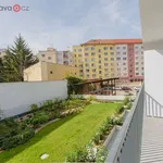 Rent 1 bedroom apartment of 43 m² in Brno