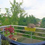 Rent 2 bedroom apartment in Denderleeuw