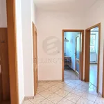 Rent 3 bedroom apartment of 75 m² in Praha