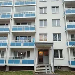 Rent 1 bedroom apartment of 30 m² in Brno